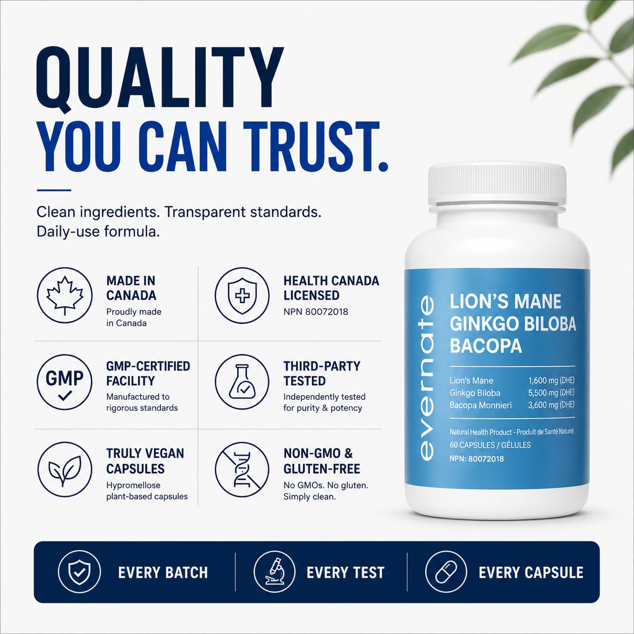 ALL-IN-ONE Lion's Mane 1,600 mg with Ginkgo Biloba 5,500 mg & Bacopa Monnieri 3,600 mg (Per Serving: 2 Capsules) – 3-in-1 Memory, Focus & Cognitive Support – 60 Vegan Capsules – Made in Canada 🍁 All In One Marketplace Canada