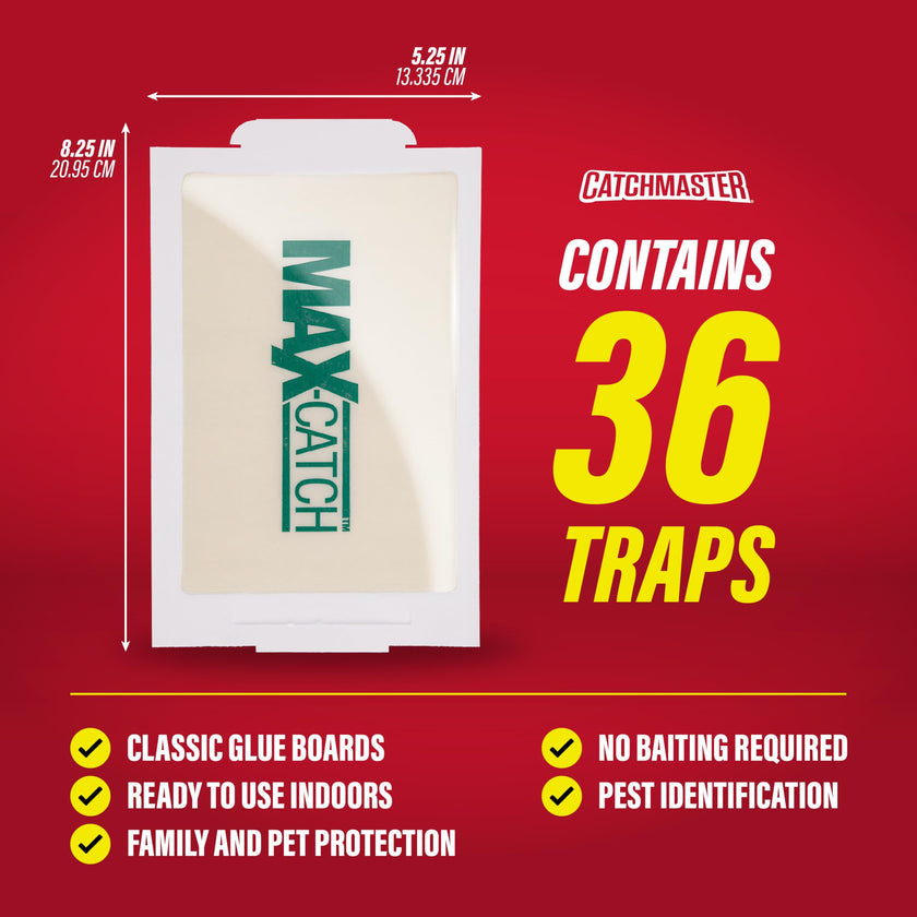 Catchmaster Max-Catch Mouse & Insect Glue Trap 36pk, Mouse Traps Indoor for Home, Sticky Pest Control Adhesive Tray for Catching Bugs, Bulk Classic Glue Boards 🍁 All In One Marketplace Canada