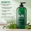 Botanic Hearth Eucalyptus Tea Tree Body Wash | Shower Gel - 16 fl oz | for Men and Women | Antifungal, Moisturizing & Soothing Formula with Natural Oils 🍁 All In One Marketplace Canada