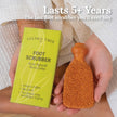 Pumice Stone for Feet Lasts 5+ Years Foot Exfoliator Scrubber Callus Remover 🍁 All In One Marketplace Canada