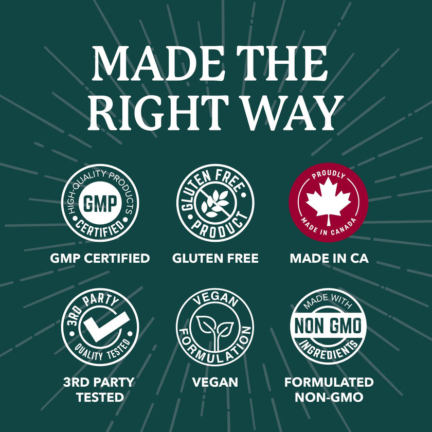 Probiotics for Men | Gut Health & Prostate Support | 50 Billion CFU with 15 Probiotic Strains | With Lycopene for Prostate Support | Men’s Gut Health Supplements | Non-GMO | Made in Canada | 60 Ct 🍁 All In One Marketplace Canada