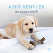Benebone Puppy 2-Pack Maplestick/Zaggler Dog Chew Toys, Dog Bones, Tiny 🍁 All In One Marketplace Canada