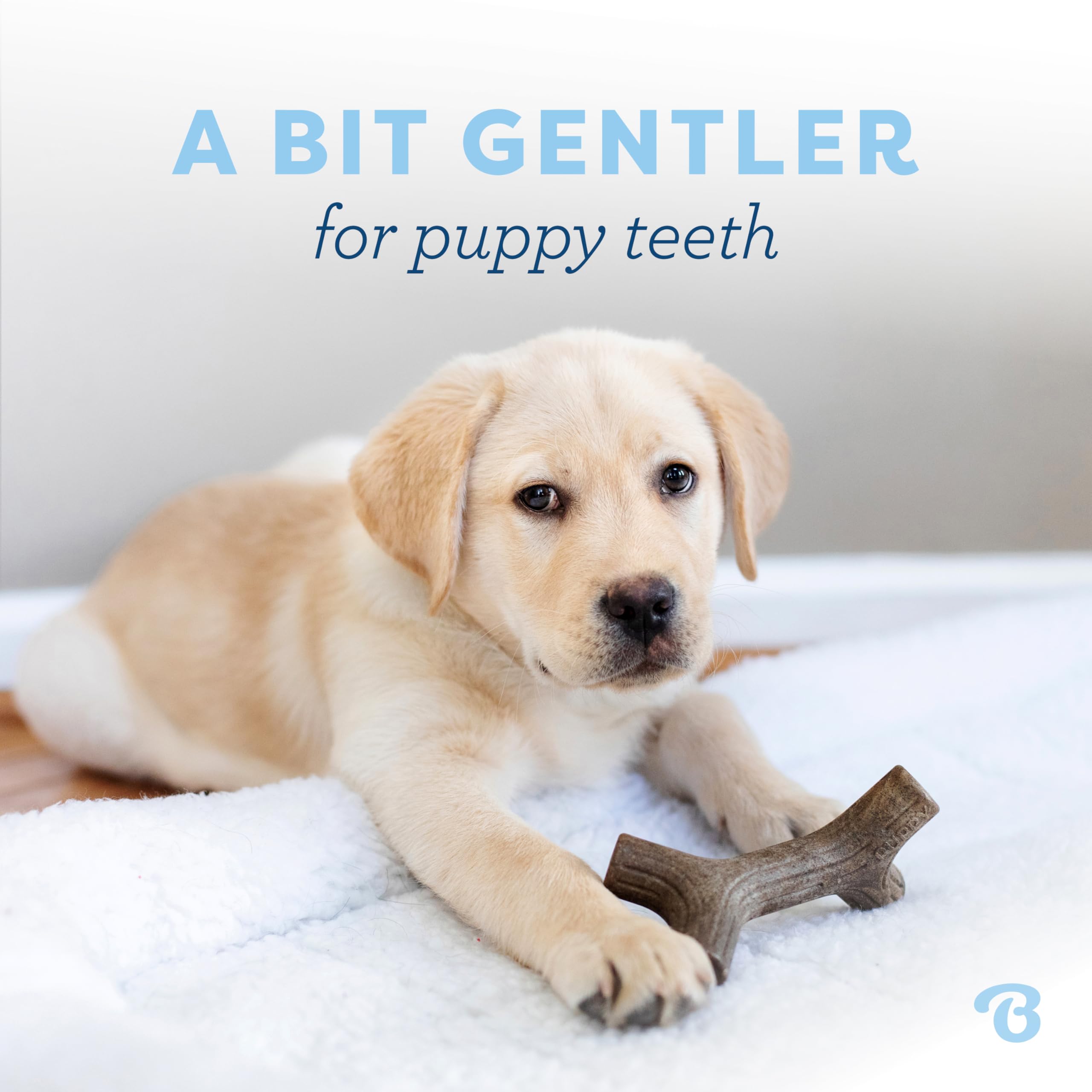 Benebone Puppy 2-Pack Maplestick/Zaggler Dog Chew Toys, Dog Bones, Tiny 🍁 All In One Marketplace Canada