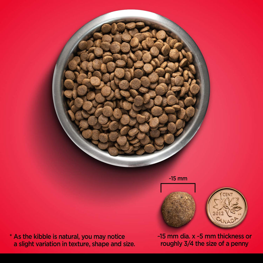 Zoe Grain Free Dog Food, All Breeds, Beef with Peas & Pumpkin, 5 kg 🍁 All In One Marketplace Canada