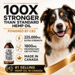 CB2 Hemp Oil for Dogs [225,000mg / 240mL / Organic] - Natural Hip and Joint Supplement for Dogs - Calming Anxiety Relief - Extra Strength for Pain, Inflammation, Arthritis, Stress, Aggression 🍁 All In One Marketplace Canada