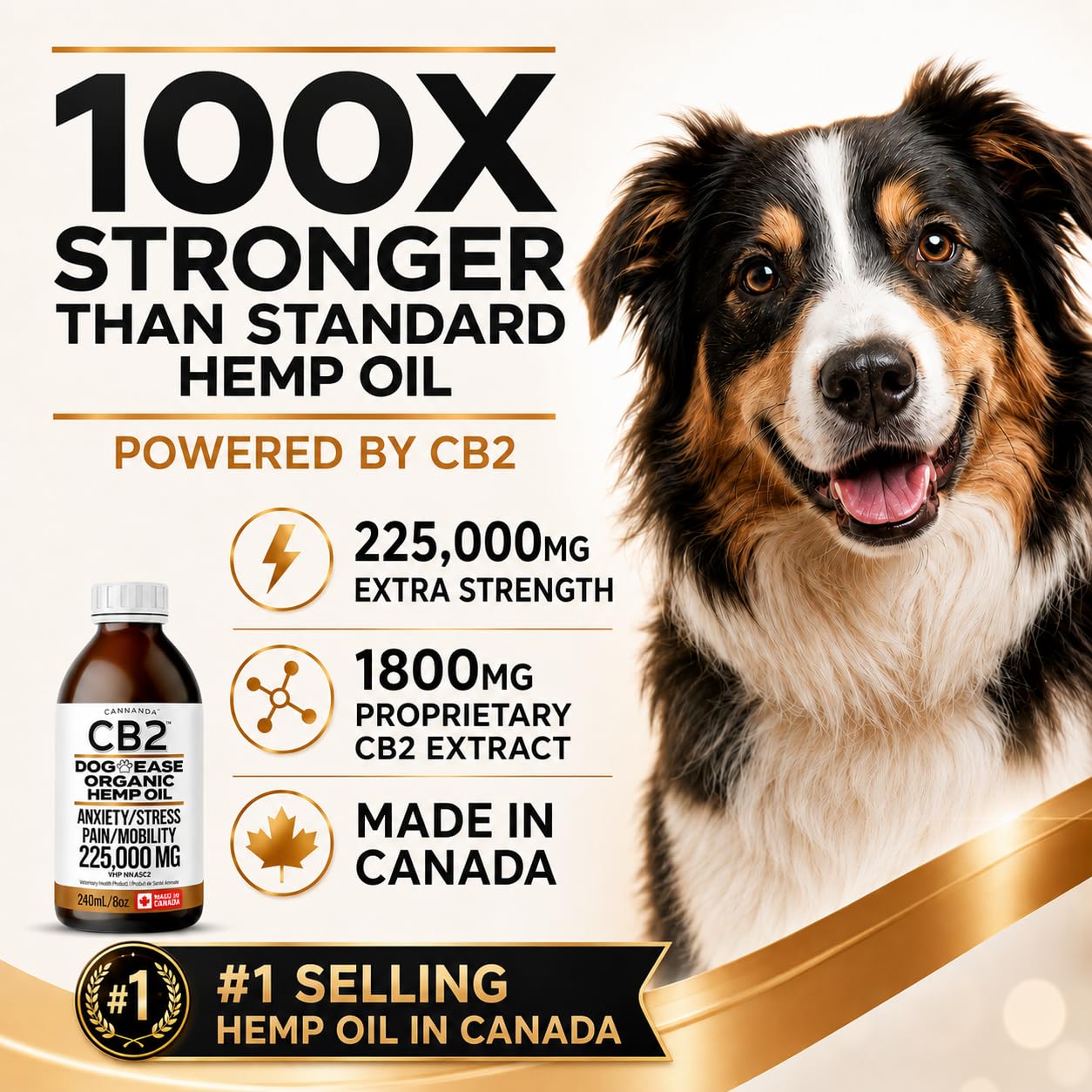 CB2 Hemp Oil for Dogs [225,000mg / 240mL / Organic] - Natural Hip and Joint Supplement for Dogs - Calming Anxiety Relief - Extra Strength for Pain, Inflammation, Arthritis, Stress, Aggression 🍁 All In One Marketplace Canada