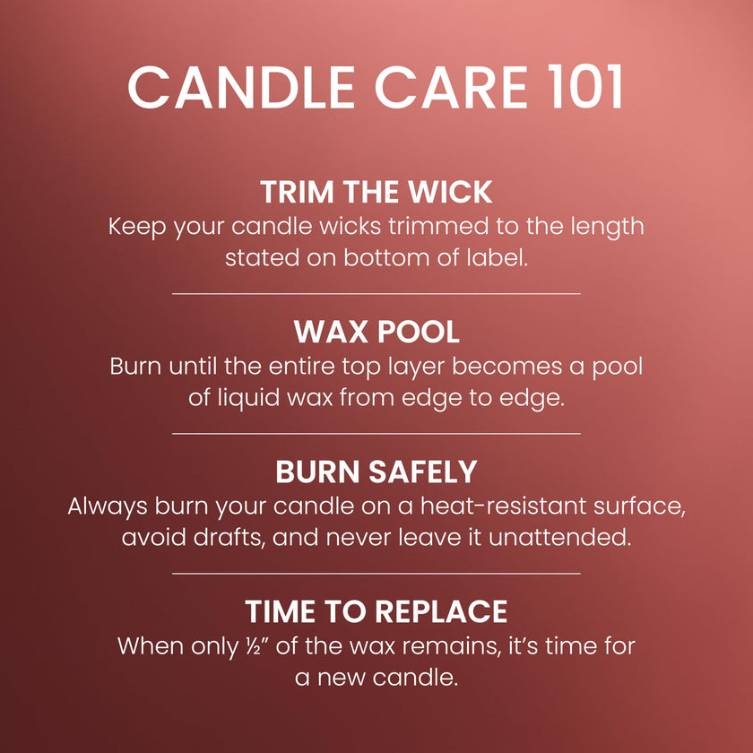 Yankee Candle Large Jar Scented Candle with up to 150 Hour Burn Time, Premium Plant Wax Blend for Cleaner Consistent Burn and Room Filling Fragrance, 22 oz, Sparkling Cinnamon 🍁 All In One Marketplace Canada