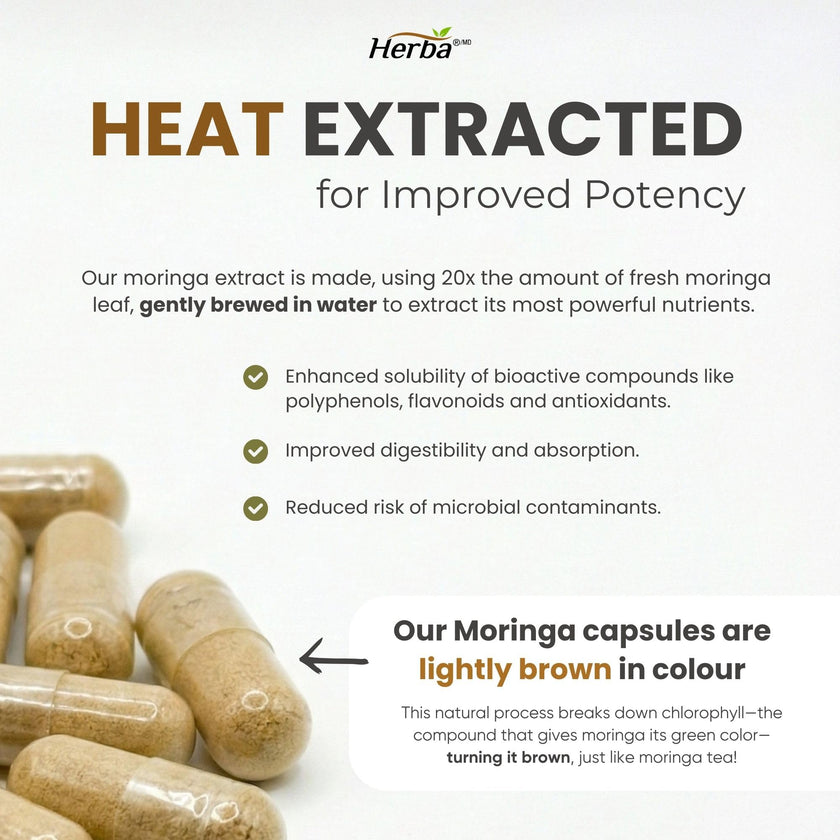 Herba 10,000MG Organic Moringa Capsules – 180 Count | Ultra Potent - 20:1 Extract | Made in Canada | Pure Moringa Capsules using Organic Moringa Powder 🍁 All In One Marketplace Canada
