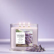 Yankee Candle 3 Wick Candle Jar, Scented Candle with up to 40 Hours of Burn Time, Premium Plant Wax Blend for Consistent Long Lasting Scent from First to Last Burn, Dried Lavender & Oak 🍁 All In One Marketplace Canada