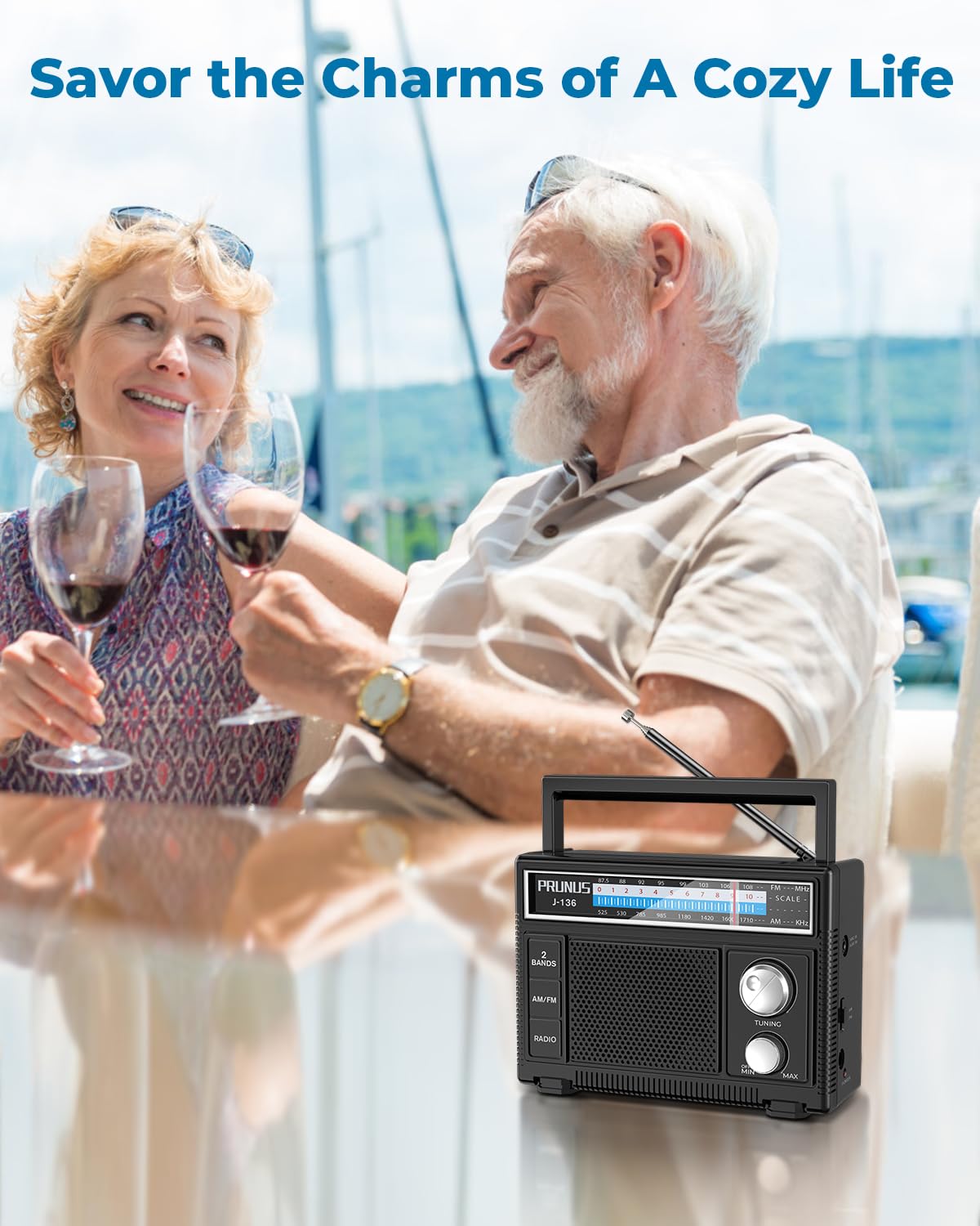 PRUNUS Portable Radio AM FM, Transistor Radio Battery Operated and Plug in Wall,Loud Speaker Support AUX in and Micphone in, Small Radios Portable AM FM J-136 🍁 All In One Marketplace Canada
