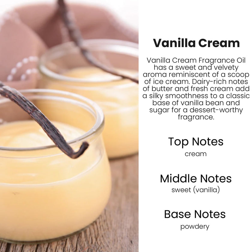 HoogaLife Car Air Fresheners Diffuser 2 Pack Hanging Air Fresheners Diffuser - Vanilla Cream Fragrance Oil Air Diffuser for Car, 45+ Days Long Lasting Fragrance Made in USA 🍁 All In One Marketplace Canada