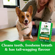 GREENIES Dog Treats Original Petite Natural Dental Care, (45 Treats) 27oz. Pack 🍁 All In One Marketplace Canada