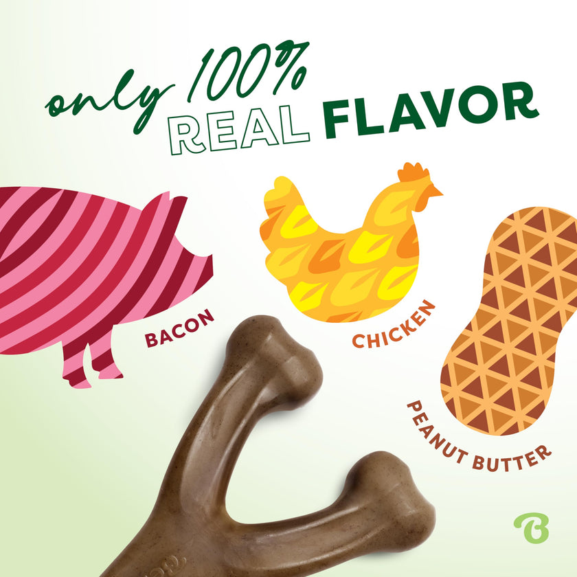 Benebone 3-Pack Wishbone Dog Chew Toy for Aggressive Chewers, Medium 🍁 All In One Marketplace Canada