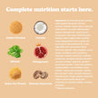 Good Protein Vegan Plant-based Protein Powder 100% Natural, Non-GMO, Dairy-free, Gluten-free, Soy-free, No Added Sugar and Nothing Artificial. Chai Latte All-in-One Shake 440 grams 🍁 All In One Marketplace Canada