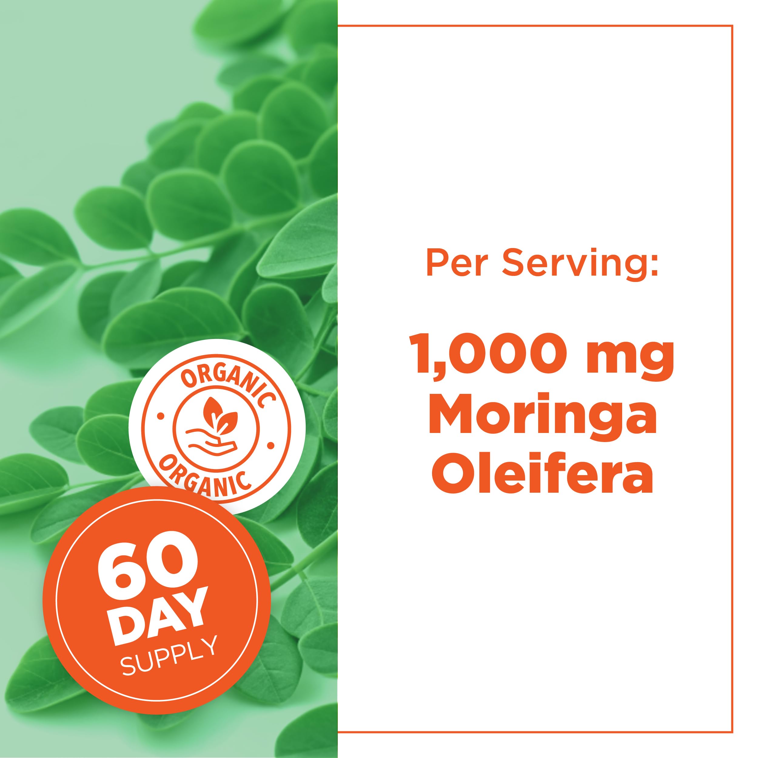 PlantVital Organic Moringa Leaf Capsules - Made in Canada - 1000mg High Potency (500mg per cap) Moringa Pure Capsules for Antioxidant, and Eye Health - Vegan, Non-GMO, Gluten Free (120 Count, 60 Days) 🍁 All In One Marketplace Canada