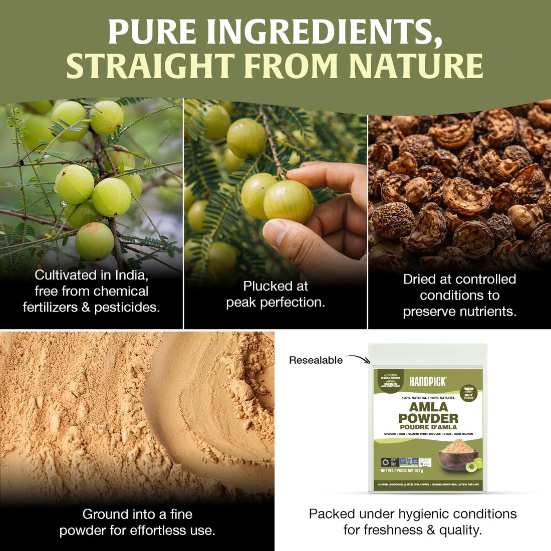 HANDPICK, Amla Powder (397gm/14oz) Halal Amalaki, Non-GMO | 100% Raw and Natural - Lab Tested for Purity | Indian Gooseberry Powder | Resealable Zip Lock Pouch 🍁 All In One Marketplace Canada