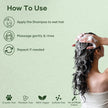 Botanic Hearth Tea Tree Shampoo for Dry & Itchy Scalp, Soothing & Hydrating Cleanser with Natural Tea Tree Oil, Sulfate & Paraben Free, For Men & Women, 16 fl oz 🍁 All In One Marketplace Canada