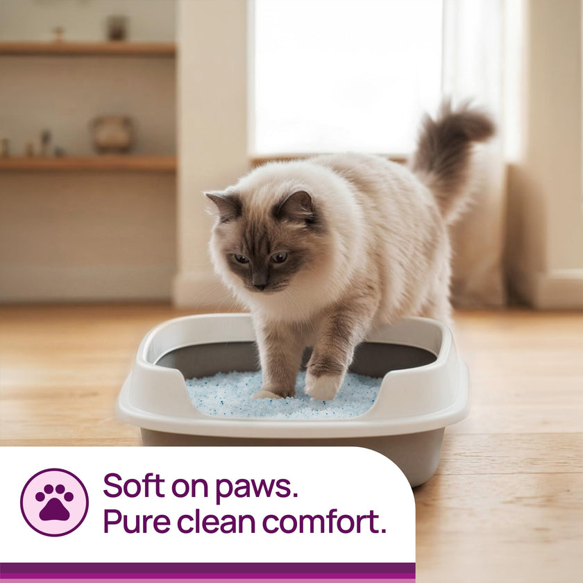 Litter Pearls Micro Crystals Unscented Non-Clumping Crystal Cat Litter with Odorbond, 7 lb, White, Clear and Blue Crystals (LPMC7) 🍁 All In One Marketplace Canada