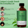 AVD Organics Tea Tree Oil | 100% Pure and Natural Tea Tree Essential Oil for skin | for Nail Fungus Face Aromatherapy Home Diffusers Carrier | 3.38 fl. Oz 🍁 All In One Marketplace Canada