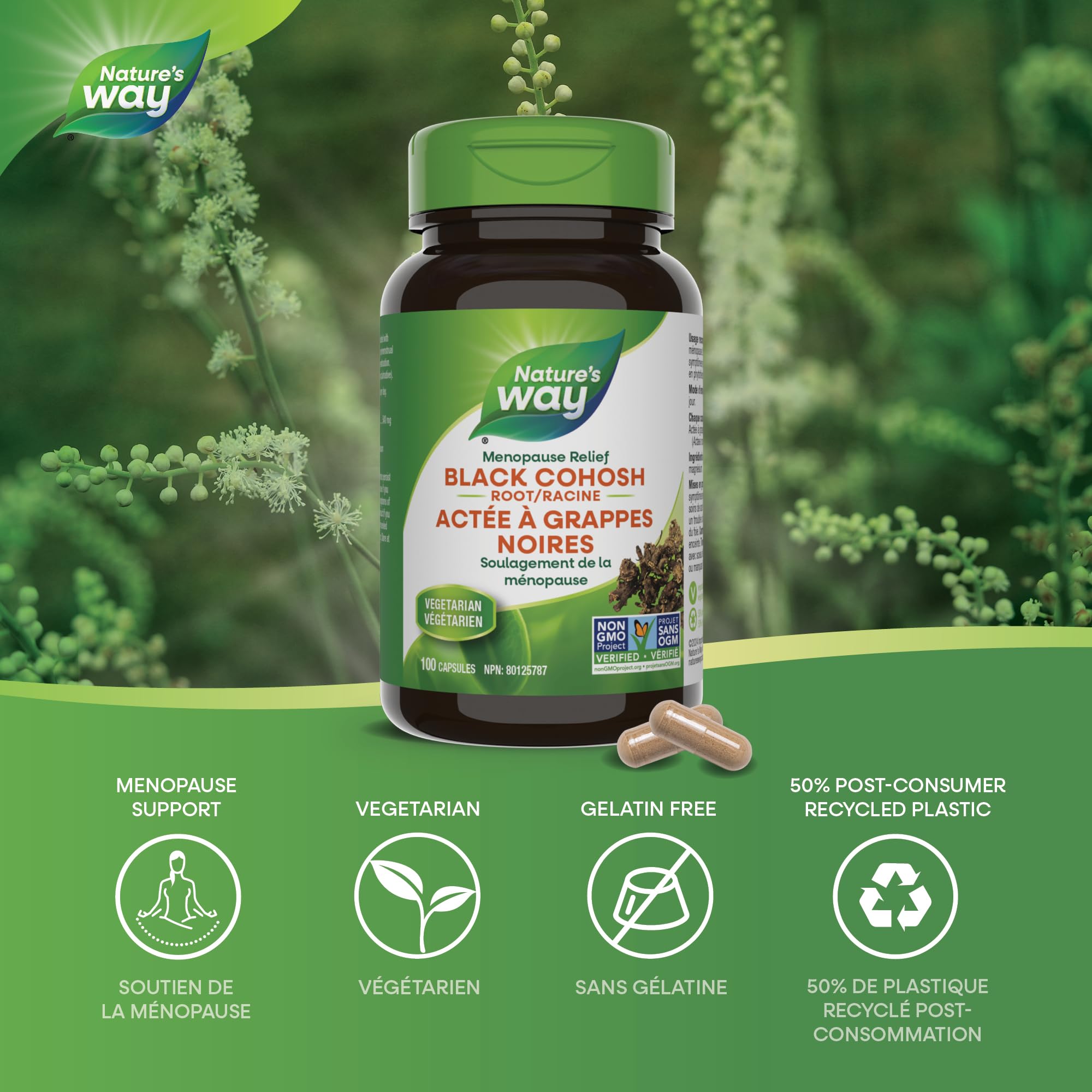 Nature's Way Black Cohosh Root – Hormone Balance for Women – 540mg Herbal Supplement for Menopausal Symptoms – Helps Relieve Menstruation Pain & Premenstrual Symptoms – 100 Vegetarian Capsules 🍁 All In One Marketplace Canada