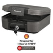 SentrySafe Fireproof and Waterproof Safe Box with Key Lock, Fire and Water Chest Safe for Home, 0.28 Cubic Feet, 6.6 x 15.4 x 14.3 Inches, CFW20201, Dark Grey 🍁 All In One Marketplace Canada