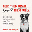 Stella & Chewy's Freeze-Dried Raw Single Ingredient Lamb Heart Treats, 85g Bag 🍁 All In One Marketplace Canada