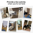 FUKUMARU Cat Scratcher, 68 CM L Shape Cat Scratch Pad Wall Mounted, Cat Scratching Cardboard with Ball Toy for Indoor Cats, Large Size 🍁 All In One Marketplace Canada