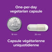 Webber Naturals NMN 500 mg (Nicotinamide Mononucleotide), 30 Capsules, Helps Maintain NAD+ Levels, Vegan 🍁 All In One Marketplace Canada