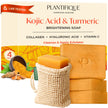 PLANTIFIQUE Turmeric & Kojic Acid Soap for Hyperpigmentation, Lab Tested - 4 Bars with Mesh Net - Face & Body Wash with Hyaluronic Acid, Collagen, Vitamin C - 320g / 11.28 oz 🍁 All In One Marketplace Canada