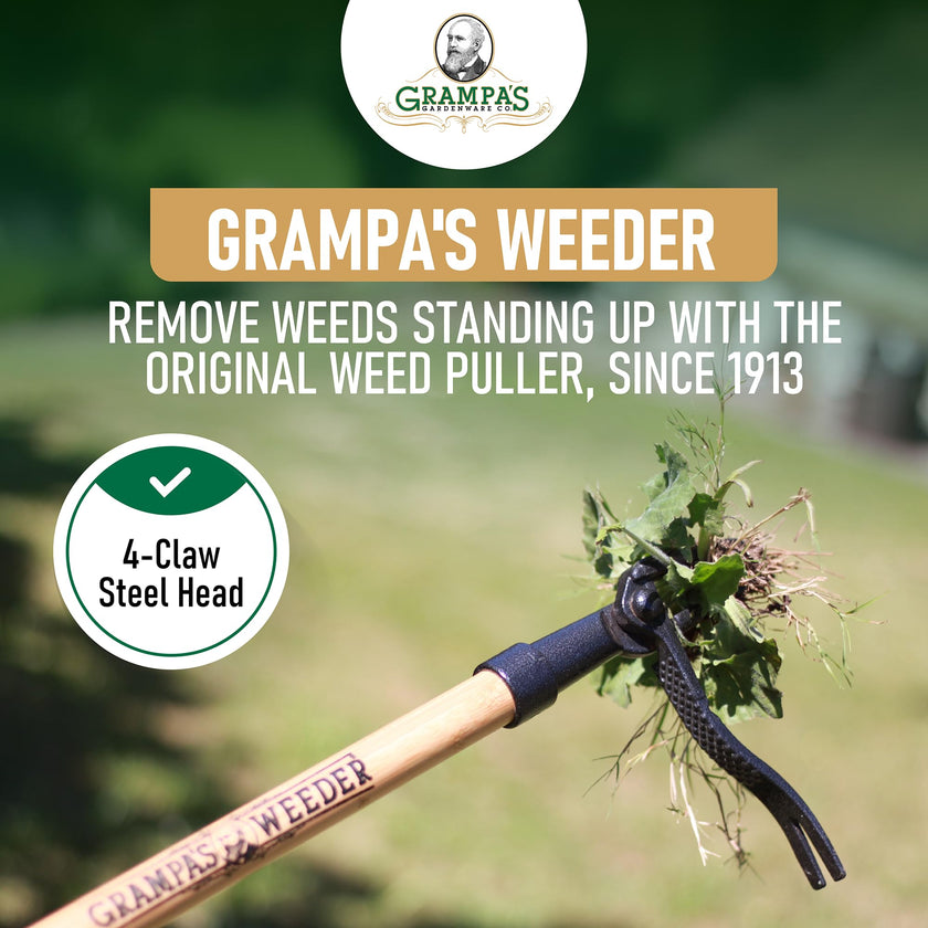 Grampa's Weeder - The Original Stand Up Weed Puller - Made with Real Bamboo & Steel Head Design - Easily Remove Weeds While Saving Your Knees & Back 🍁 All In One Marketplace Canada