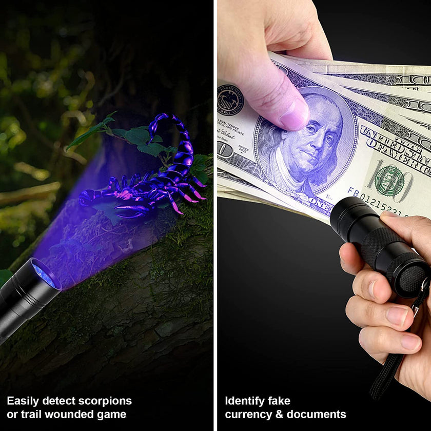 MegaPower (TM) UV Flashlight Black Light 12 LED 395nm Hand-held Detecting Torch for Pet Urine, Stains, Verifying Money Documents, Black 🍁 All In One Marketplace Canada