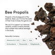 BEEKEEPER'S NATURALS Propolis Throat Spray - 85mg Bee Propolis Extract - Natural Immune Support, Sore Throat Relief & Antioxodant Support - Antioxidants, Keto, Paleo, Gluten-Free (1.06 oz) 🍁 All In One Marketplace Canada
