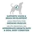 Purina ONE +Plus Large Breed Dry Puppy Food with Chicken - 14 kg Bag 🍁 All In One Marketplace Canada