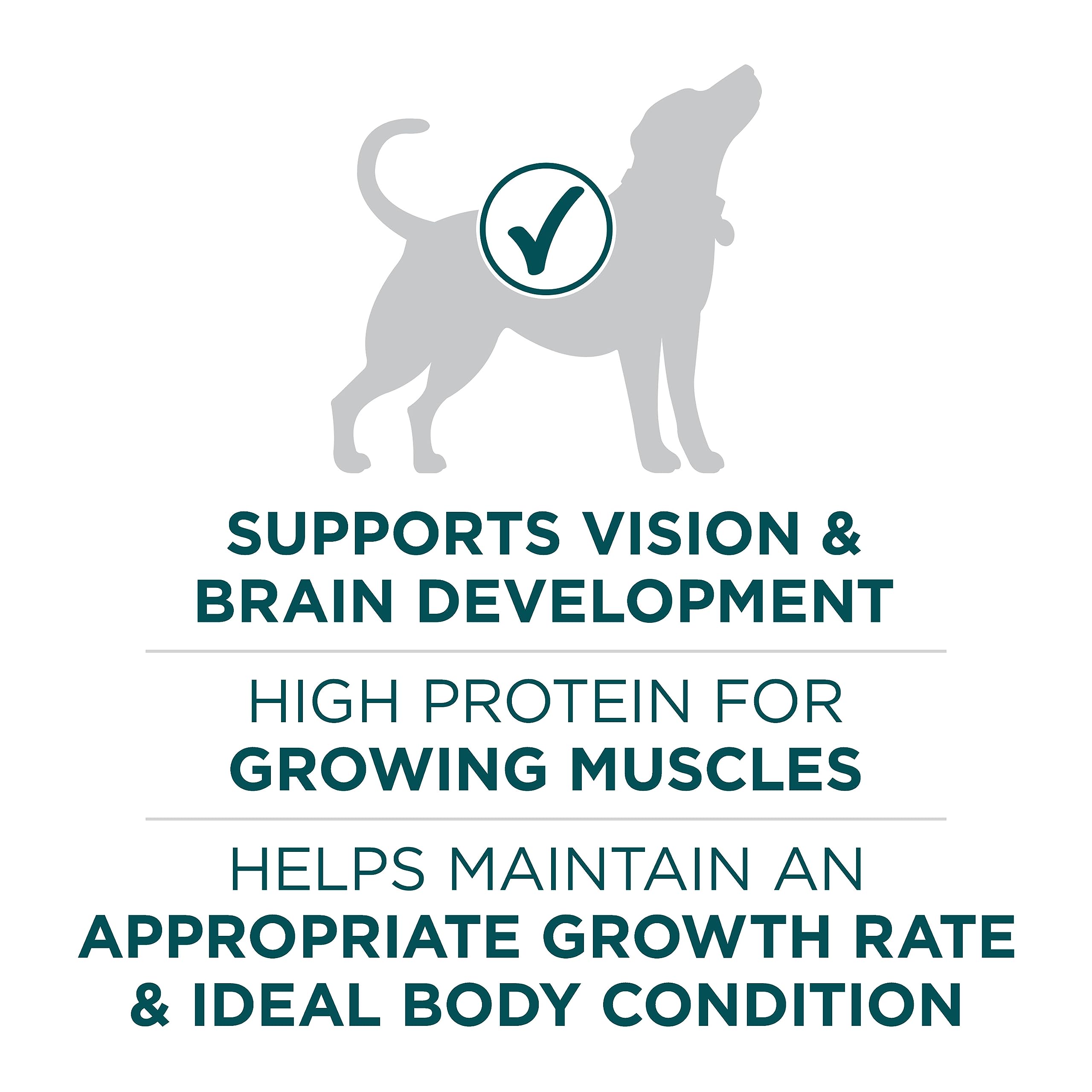Purina ONE +Plus Large Breed Dry Puppy Food with Chicken - 14 kg Bag 🍁 All In One Marketplace Canada