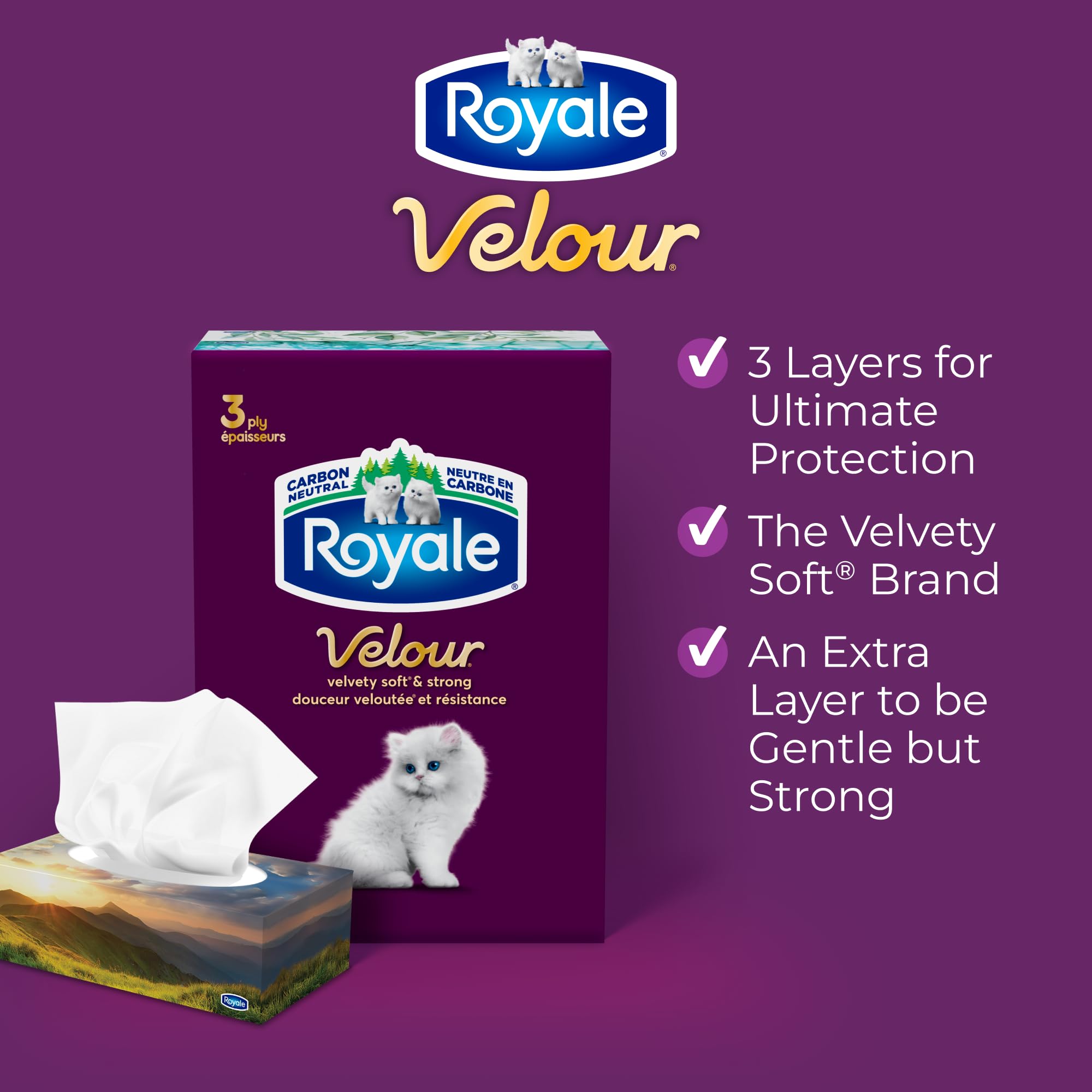 Royale Velour 3 Ply Facial Tissue, 24 Tissue Boxes, 72 Tissues per Box 🍁 All In One Marketplace Canada