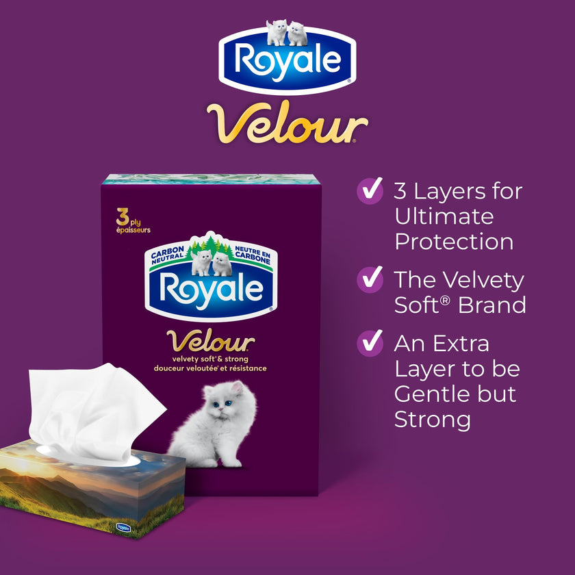 Royale Velour 3 Ply Facial Tissue, 24 Tissue Boxes, 72 Tissues per Box 🍁 All In One Marketplace Canada