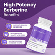 Nutrawave PURE Berberine MAXIMUM POTENCY 1000mg per Serving (2 capsules 500mg each) Supports Blood Sugar Levels, Healthy Lipid (Fat) and Glucose Metabolism. Non-GMO, Vegan, Gluten Free. 90 Easy to Swallow Capsules- 2 pack 🍁 All In One Marketplace Canada