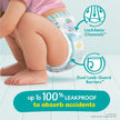 Pampers Easy Ups Girls & Boys Potty Training Pants, Size 5 (3T4T), Peppa Absorbent Training Underwear, Up to 100% Leakproof Day and Night, Hypoallergenic, 1 Pack (Count of 124) 🍁 All In One Marketplace Canada