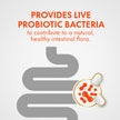 Align Probiotic, Bloating + Digestive Stress Relief, Probiotic for Women and Men with Ashwagandha, Helps Relieve Symptoms of IBS such as Bloating, Gas, and Abdominal Discomfort, 28 Capsules 🍁 All In One Marketplace Canada