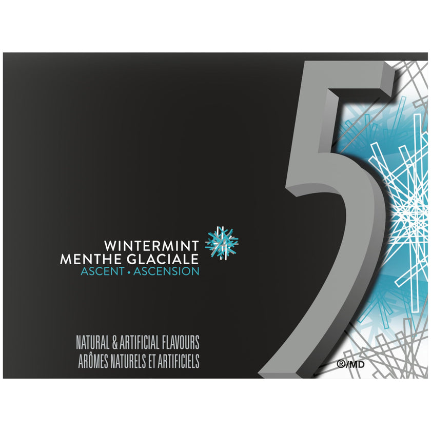 5 GUM, Wintermint-Ascent Flavoured Sugar Free Chewing Gum, 15 Sticks, 10 Packs 🍁 All In One Marketplace Canada