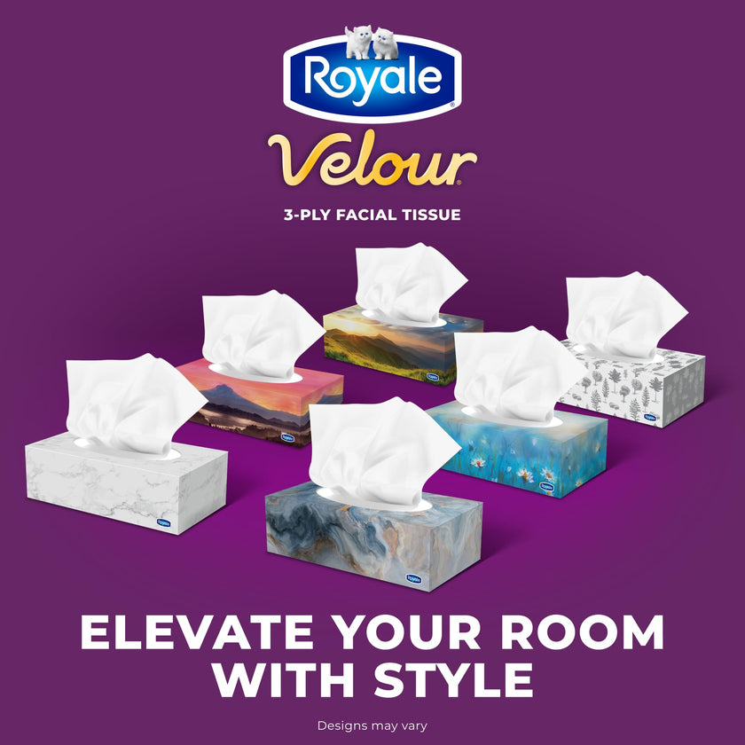Royale Velour 3 Ply Facial Tissue, 24 Tissue Boxes, 72 Tissues per Box 🍁 All In One Marketplace Canada