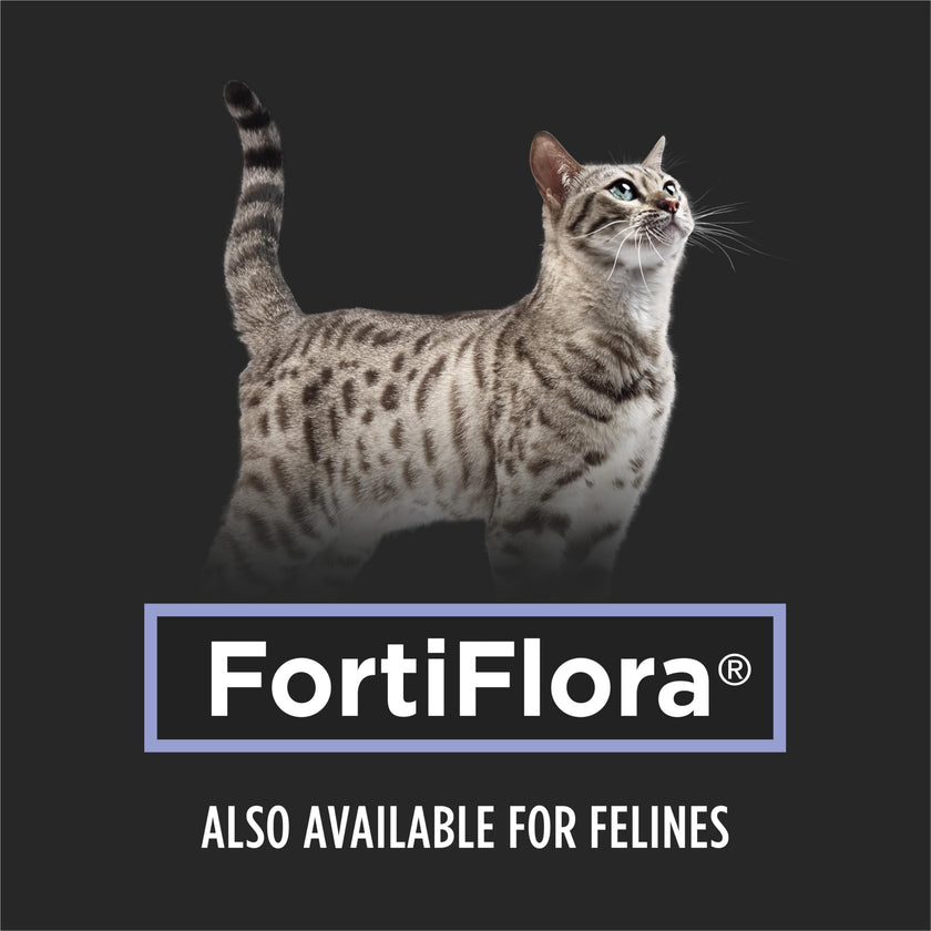 Purina Pro Plan Veterinary Supplements Fortiflora Powdered Dog Probiotics - 30 g sachets (Pack of 30) 🍁 All In One Marketplace Canada