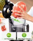 Juicer Machine, 6.5