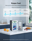 AstroAI Mini Fridge 2.0 Gen, 6 Liter/8 Cans Makeup Skincare Small Fridge 110V AC/ 12V DC Portable Thermoelectric Cooler and Warmer Little Tiny Fridge for Bedroom, Cosmetics,Car (Dark Grey) 🍁 All In One Marketplace Canada