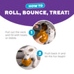 Outward Hound Snoop Dog Toy – Treat‑Dispenser Puzzle Ball, Interactive Slow Feeder, Medium to Large Dogs, Bouncy & Mint-Infused, Orange, 5