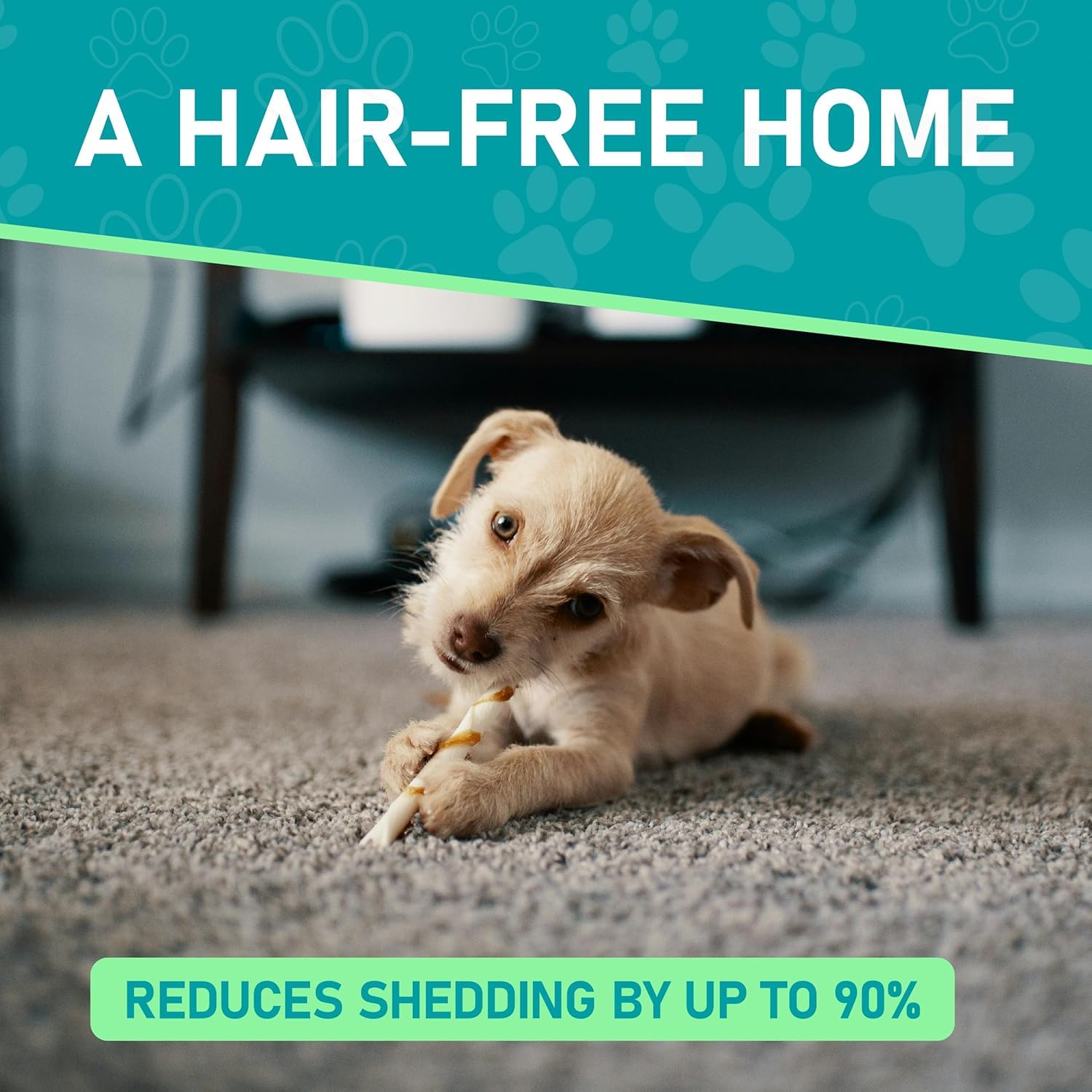 Maxpower Planet Pet Grooming Brush - Double Sided Shedding, Dematting (A1 Blue, Large) 🍁 All In One Marketplace Canada