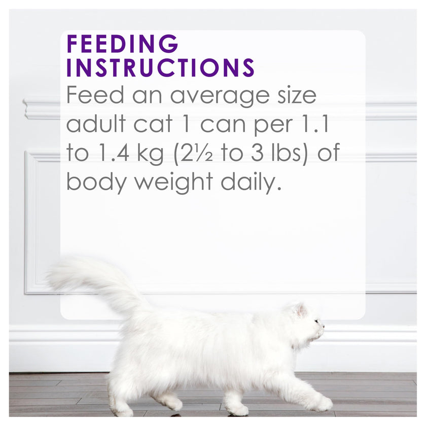 Fancy Feast Delights with Cheddar Wet Cat Food, Grilled Turkey & Cheddar Cheese Feast - 85 g Can (24 Pack) 🍁 All In One Marketplace Canada