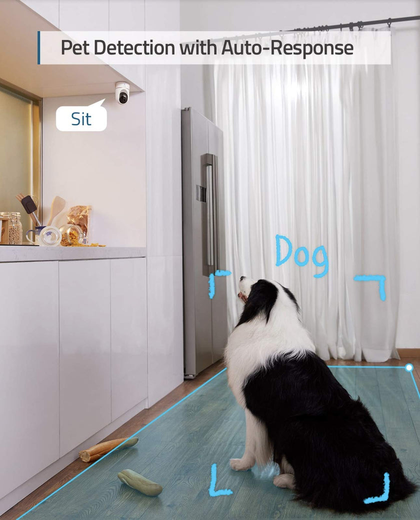 eufy Security Indoor Cam E220, 2K, Pan & Tilt, Indoor Security Camera, Wi-Fi Plug-in Camera, Human & Pet AI, Voice Assistant Compatibility, Night Vision, Motion Tracking, HomeBase not Compatible 🍁 All In One Marketplace Canada