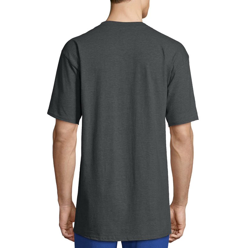 Hanes Size Men's Beefy Short Sleeve Tee Value Pack (2-Pack), Charcoal Heather, X-Large Tall 🍁 All In One Marketplace Canada