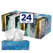Royale Velour 3 Ply Facial Tissue, 24 Tissue Boxes, 72 Tissues per Box 🍁 All In One Marketplace Canada